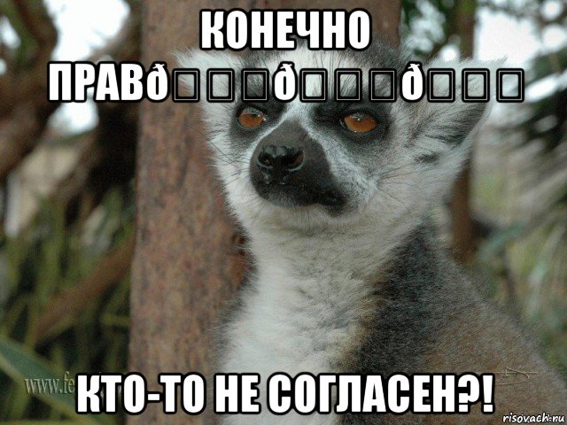 смешная картинка, смешной комикс, прикол