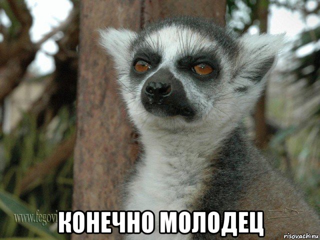  конечно молодец