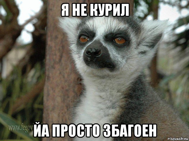 я не курил йа просто збагоен