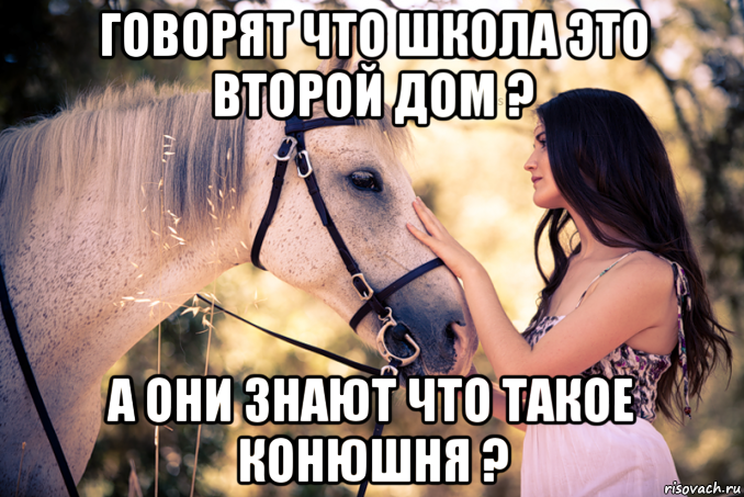 говорят что школа это второй дом ? а они знают что такое конюшня ?