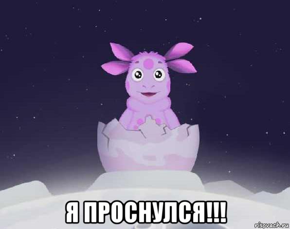  я проснулся!!!