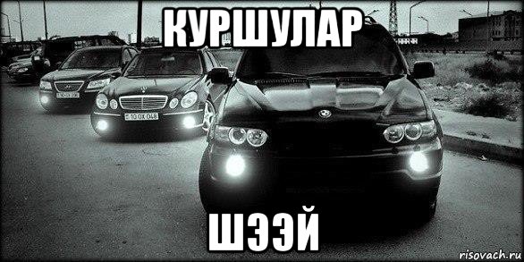 куршулар шээй