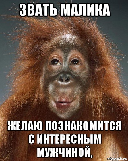 звать малика желаю познакомится с интересным мужчиной,