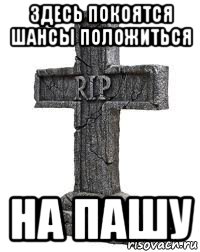 здесь покоятся шансы положиться на пашу