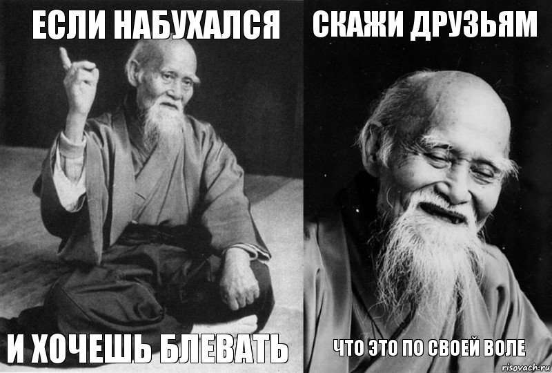 если набухался и хочешь блевать скажи друзьям что это по своей воле, Комикс Мудрец-монах (4 зоны)