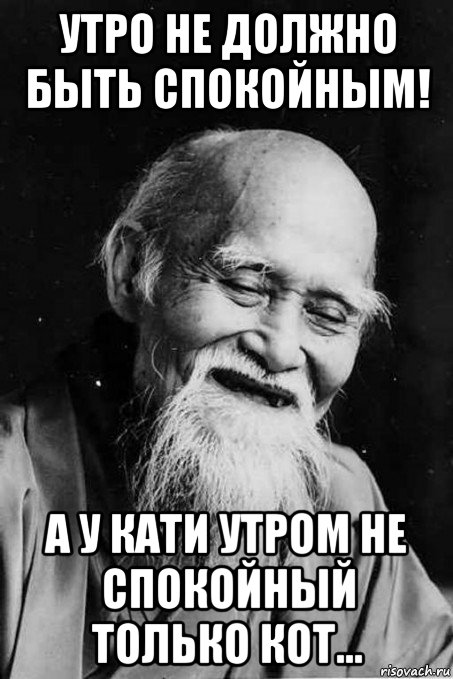 утро не должно быть спокойным! а у кати утром не спокойный только кот..., Мем мудрец улыбается