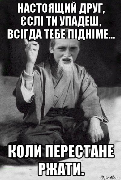 настоящий друг, єслі ти упадеш, всігда тебе підніме... коли перестане ржати., Мем Мудрий паца