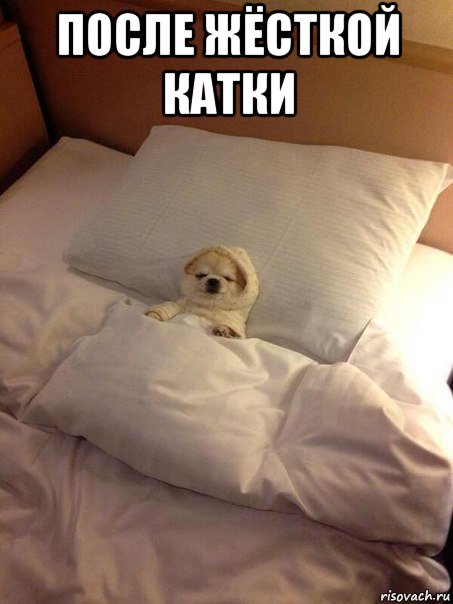после жёсткой катки , Мем Мяф
