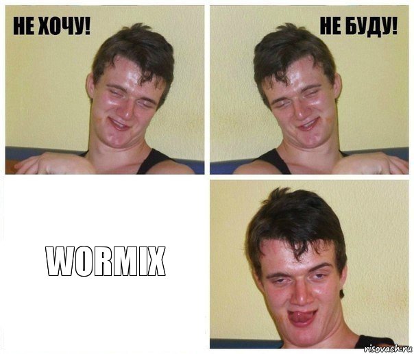  Wormix