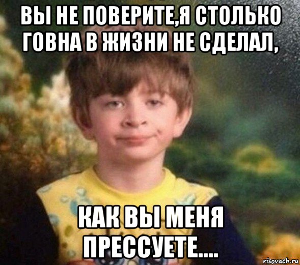 вы не поверите,я столько говна в жизни не сделал, как вы меня прессуете...., Мем Недовольный пацан