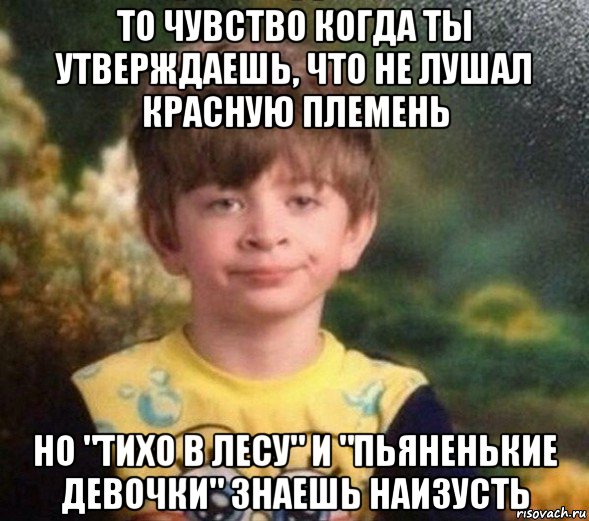 то чувство когда ты утверждаешь, что не лушал красную племень но "тихо в лесу" и "пьяненькие девочки" знаешь наизусть, Мем Недовольный пацан