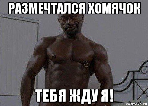 размечтался хомячок тебя жду я!