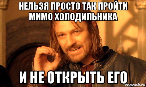 нельзя просто так пройти мимо холодильника и не открыть его, Мем Нельзя просто так взять и (Боромир мем)