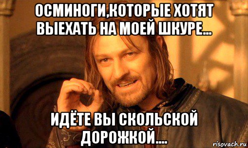 осминоги,которые хотят выехать на моей шкуре... идёте вы скольской дорожкой...., Мем Нельзя просто так взять и (Боромир мем)