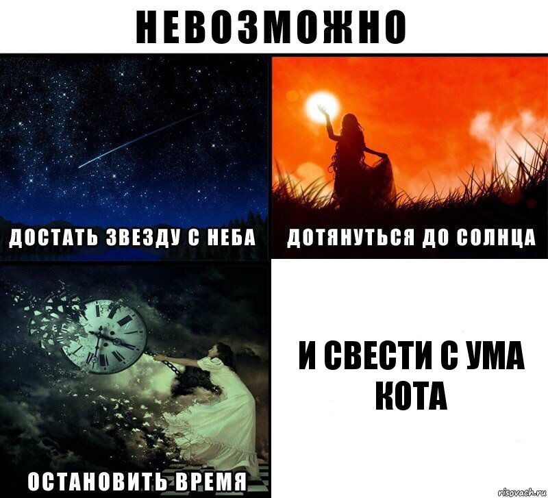 И свести с ума кота, Комикс Невозможно