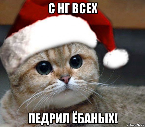 с нг всех педрил ёбаных!