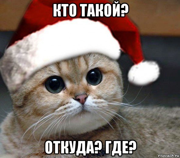 кто такой? откуда? где?