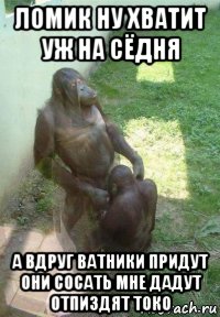 ломик ну хватит уж на сёдня а вдруг ватники придут они сосать мне дадут отпиздят токо