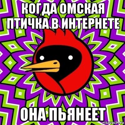 когда омская птичка в интернете она пьянеет, Мем Омская птица