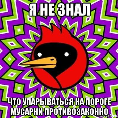 я не знал что упарываться на пороге мусарни противозаконно, Мем Омская птица