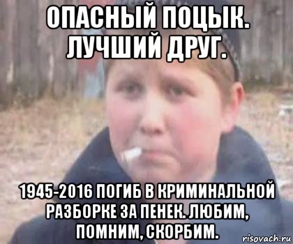 опасный поцык. лучший друг. 1945-2016 погиб в криминальной разборке за пенек. любим, помним, скорбим.
