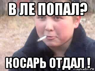 в ле попал? косарь отдал !