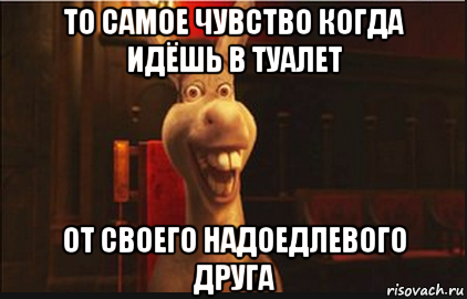 то самое чувство когда идёшь в туалет от своего надоедлевого друга, Мем Осел из Шрека