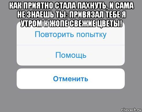 как приятно стала пахнуть, и сама не знаешь ты: привязал тебе я утром к жопе свежие цветы! , Мем Отменить Помощь Повторить попытку