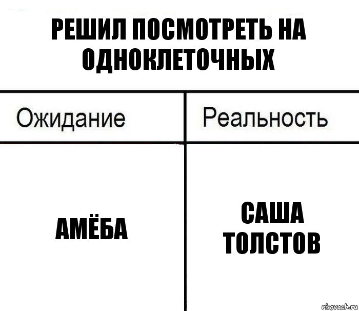 Решил посмотреть на одноклеточных Амёба Саша Толстов, Комикс  Ожидание - реальность