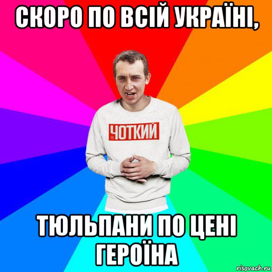 скоро по всій україні, тюльпани по цені героїна