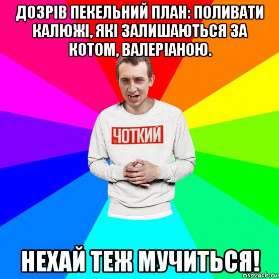дозрів пекельний план: поливати калюжі, які залишаються за котом, валеріаною. нехай теж мучиться!