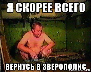 я скорее всего вернусь в зверополис