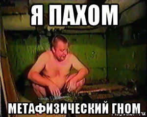 я пахом метафизический гном