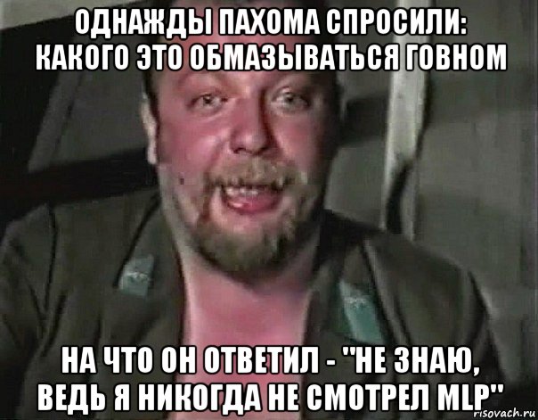 однажды пахома спросили: какого это обмазываться говном на что он ответил - "не знаю, ведь я никогда не смотрел mlp"