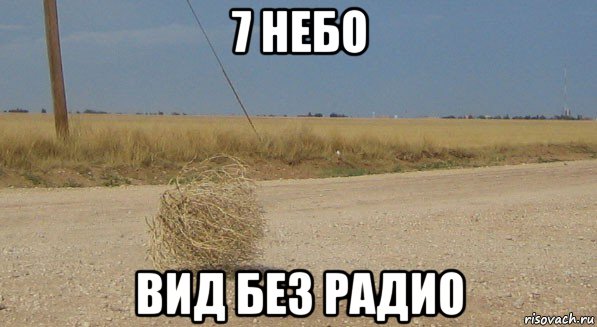 7 небо вид без радио, Мем перекати-поле одиночество