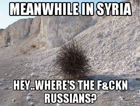 meanwhile in syria hey..where's the f&ckn russians?, Мем перекати-поле