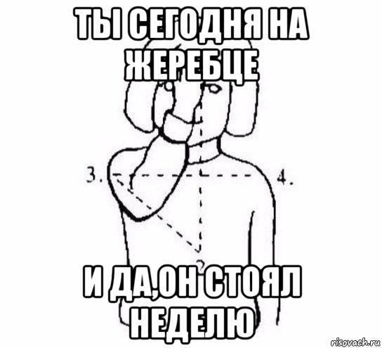 ты сегодня на жеребце и да,он стоял неделю, Мем  Перекреститься