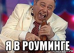  я в роуминге