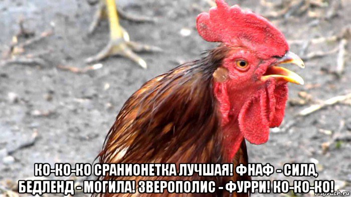  ко-ко-ко сранионетка лучшая! фнаф - сила, бедленд - могила! зверополис - фурри! ко-ко-ко!