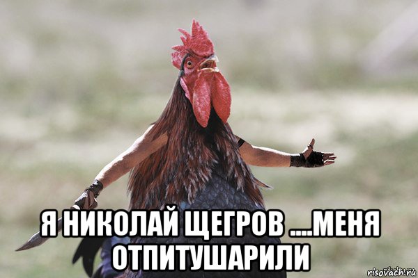  я николай щегров ....меня отпитушарили