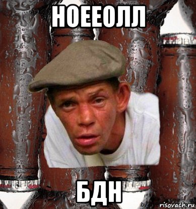 ноееолл бдн