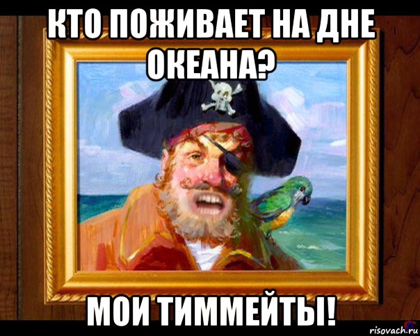 кто поживает на дне океана? мои тиммейты!, Мем Пират из губка боба