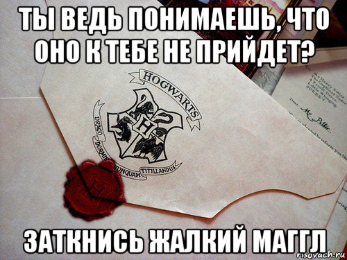 ты ведь понимаешь, что оно к тебе не прийдет? заткнись жалкий маггл, Мем Письмо