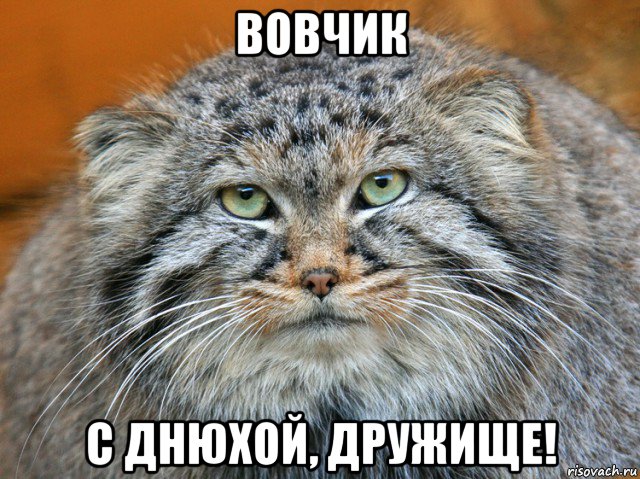 вовчик с днюхой, дружище!
