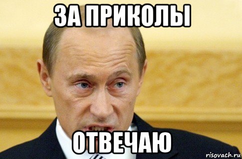 за приколы отвечаю, Мем путин