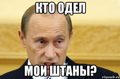 кто одел мои штаны?, Мем путин