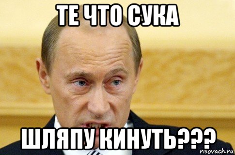 те что сука шляпу кинуть???, Мем путин