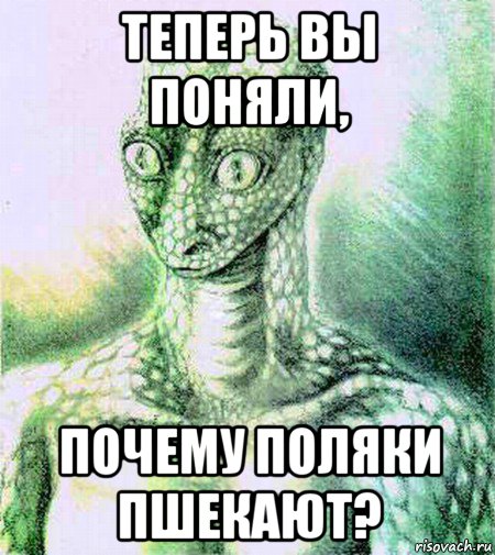 теперь вы поняли, почему поляки пшекают?