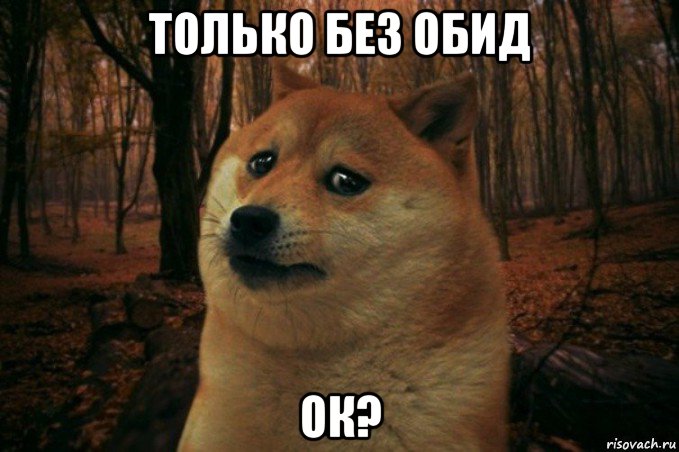 только без обид ок?, Мем SAD DOGE