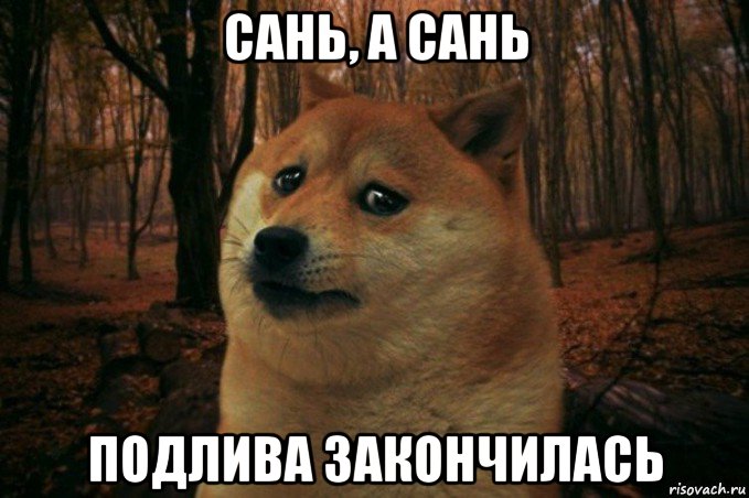 сань, а сань подлива закончилась, Мем SAD DOGE